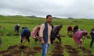 Suhsieng An Entrepreneur’s journey to aromatic and medicinal plants in Meghalaya