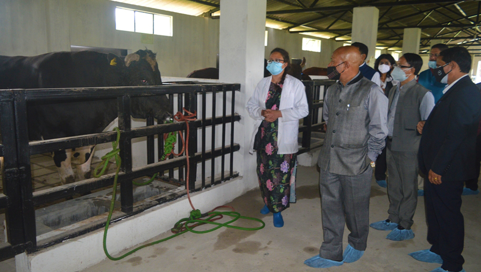 Animal Husbandry Minister inaugurates important projects under RGM Animal Husbandry Minister inaugurates important projects under RGM