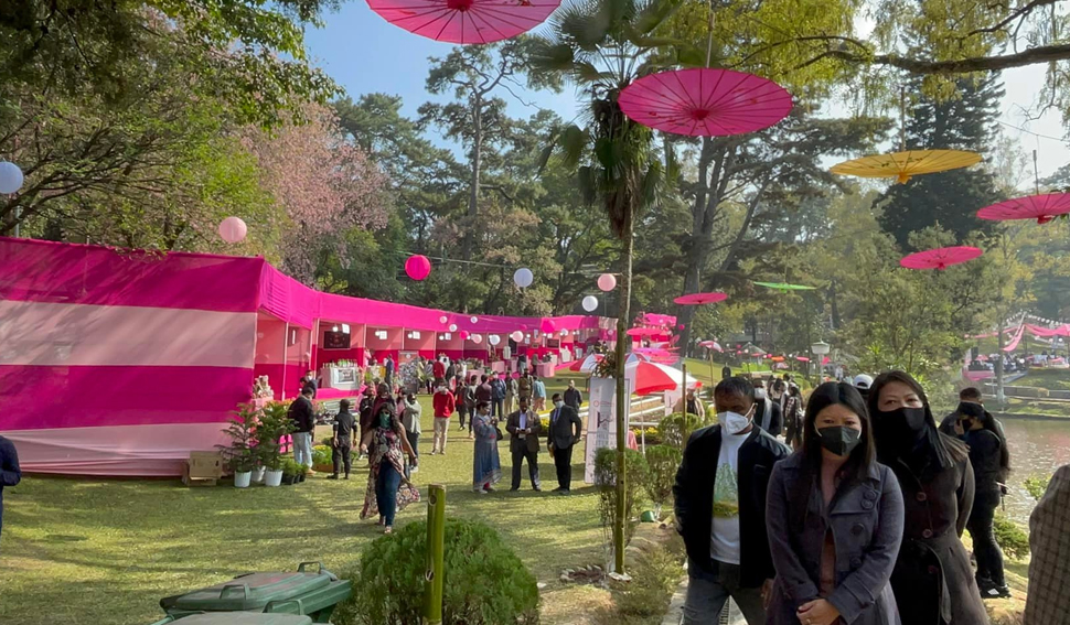 Shillong Cherry Blossom Festival 2021 wins awards